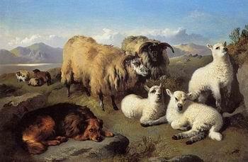  Sheep 191